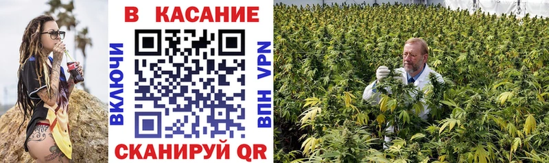 Виды наркотиков купить Дятьково Alpha-PVP  Меф мяу мяу  COCAIN  Гашиш  Амфетамин  MEGA зеркало  Конопля 