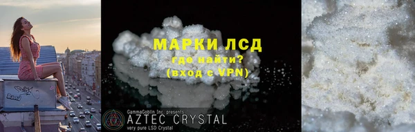 таблы Гусев
