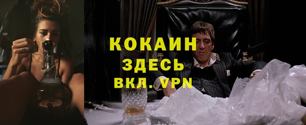 таблы Гусев