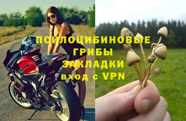 амфетамин Бутурлиновка