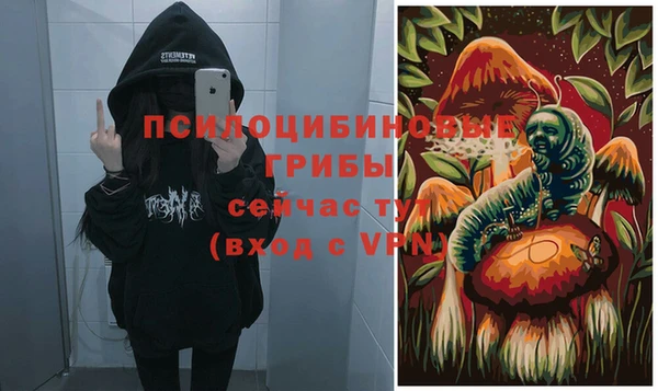 таблы Гусев