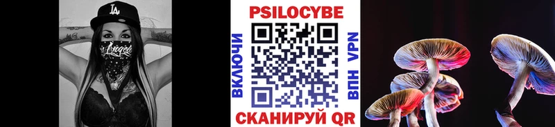 Галлюциногенные грибы Psilocybine cubensis  Дятьково 