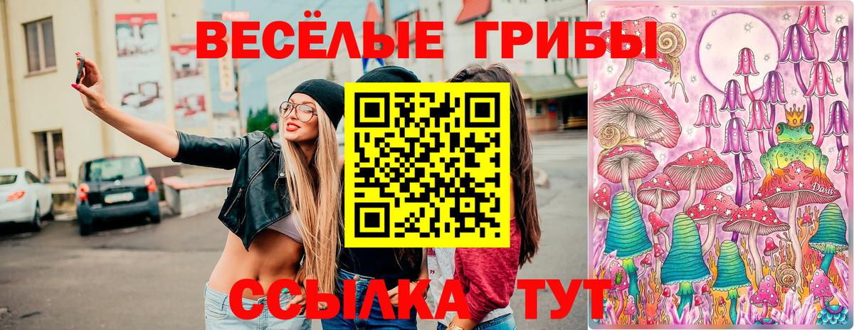 Псилоцибиновые грибы прущие грибы Дятьково