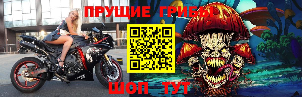 Галлюциногенные грибы мицелий  Вход с VPN  Галлюциногенные грибы Psilocybine cubensis  Дятьково 