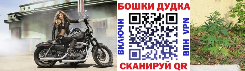 Конопля тримм  blacksprut рабочий сайт  Дятьково 